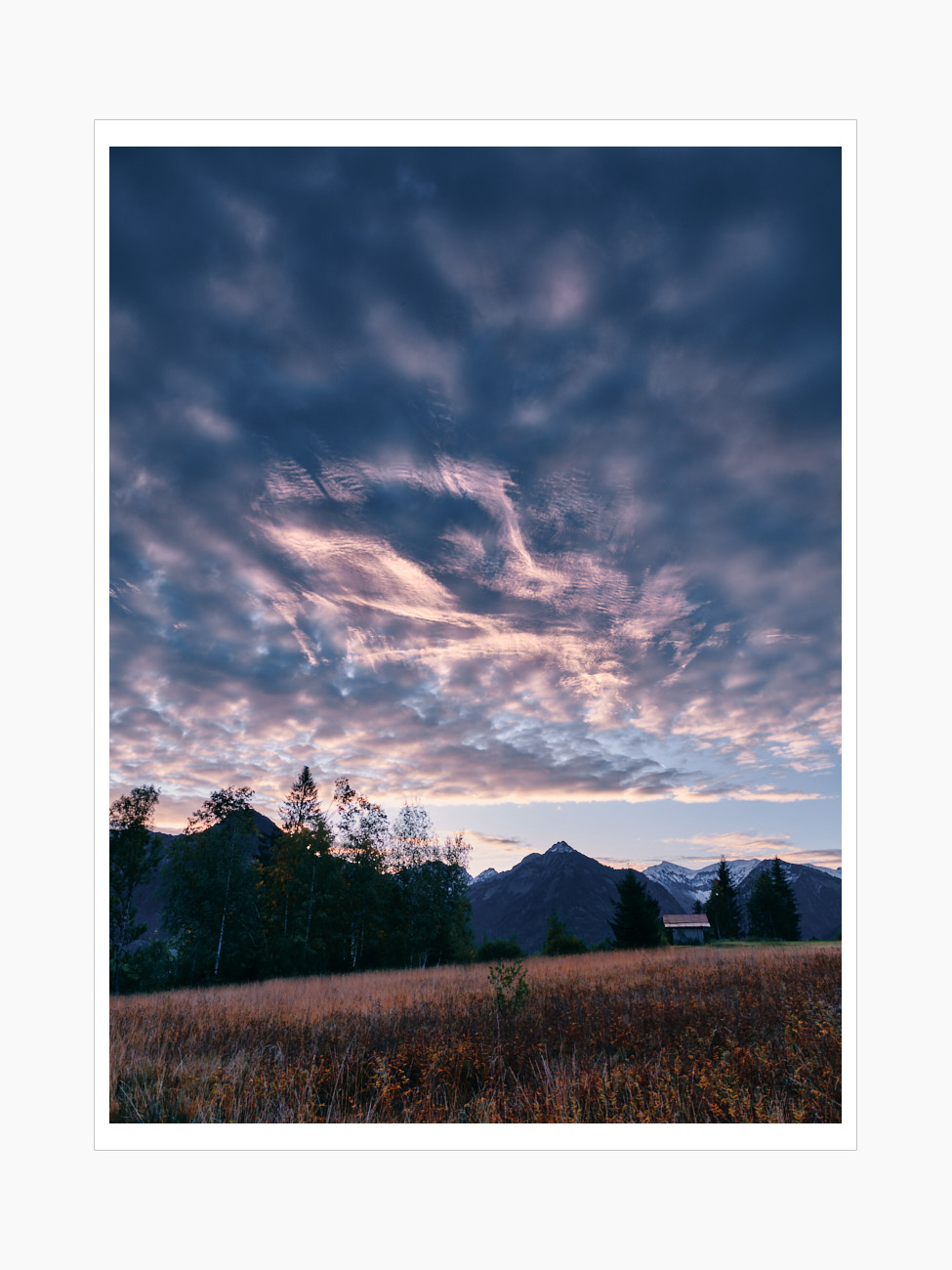 Max Schiefele Alle Bilder  DSF2560